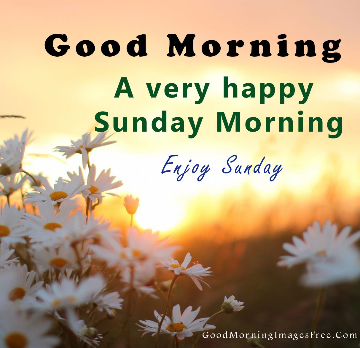 Incredible Collection: Download 4K Good Morning Sunday Images – Top 999+