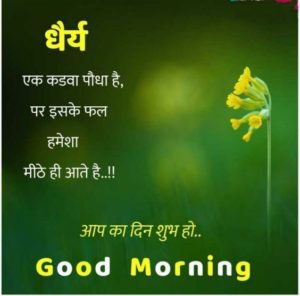 Life Inspiring Aaj Ka Good Morning Image Shayari Status for Whatsapp