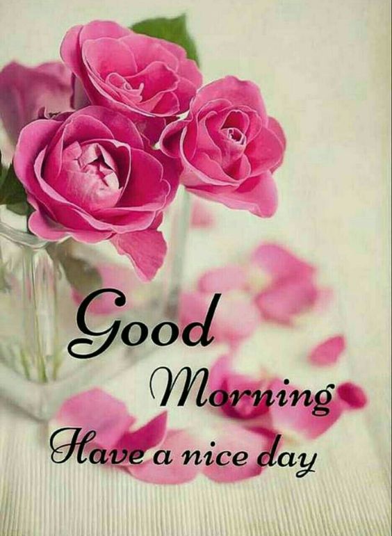 good morning have a nice day wallpaper