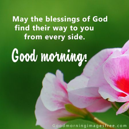 85+ Best Good Morning Blessings Images Wishes Quotes Status