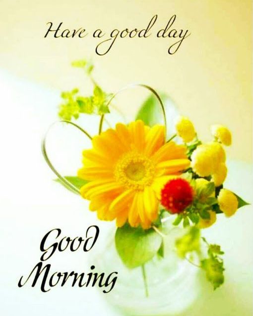 65+ Good Morning Thoughts Images, Quotes, Pics HD Download