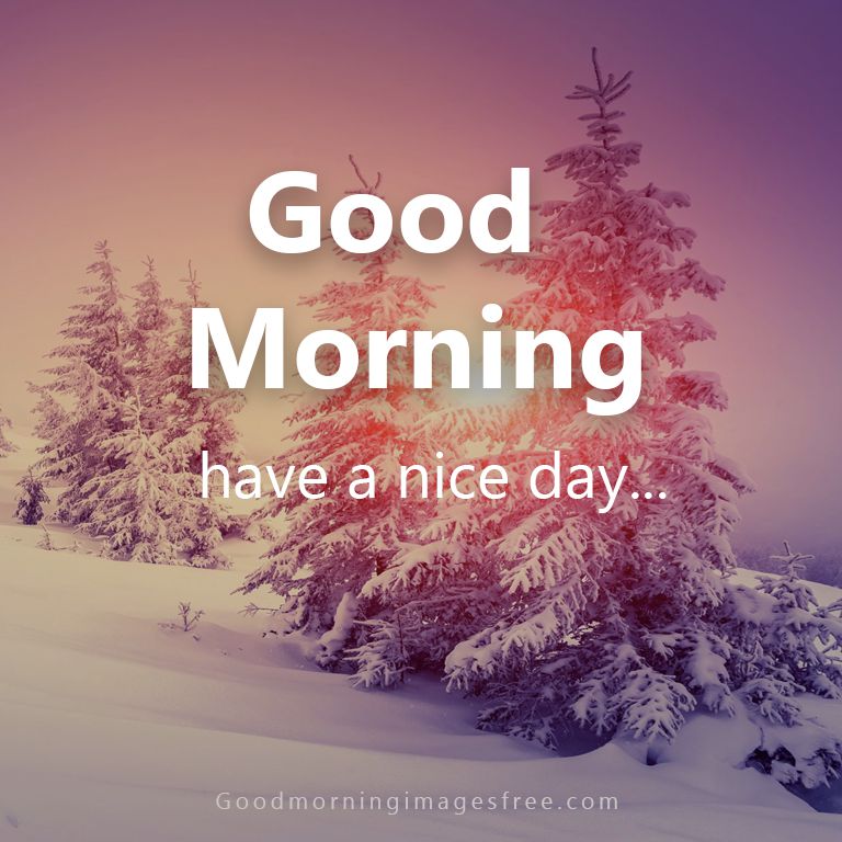 155+ Best Good Morning Winter Images, Photos, Status HD Download